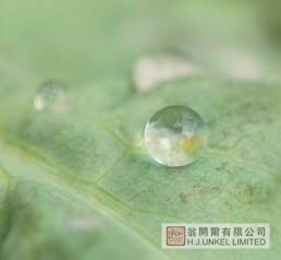 防水剂VARIPHOB AC1104图片