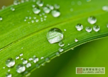 防水剂VARIPHOB AC2231图片