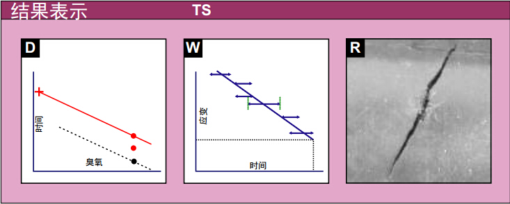 测试结果表示