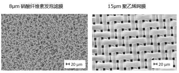 图4：发泡滤膜和网膜的结构对比